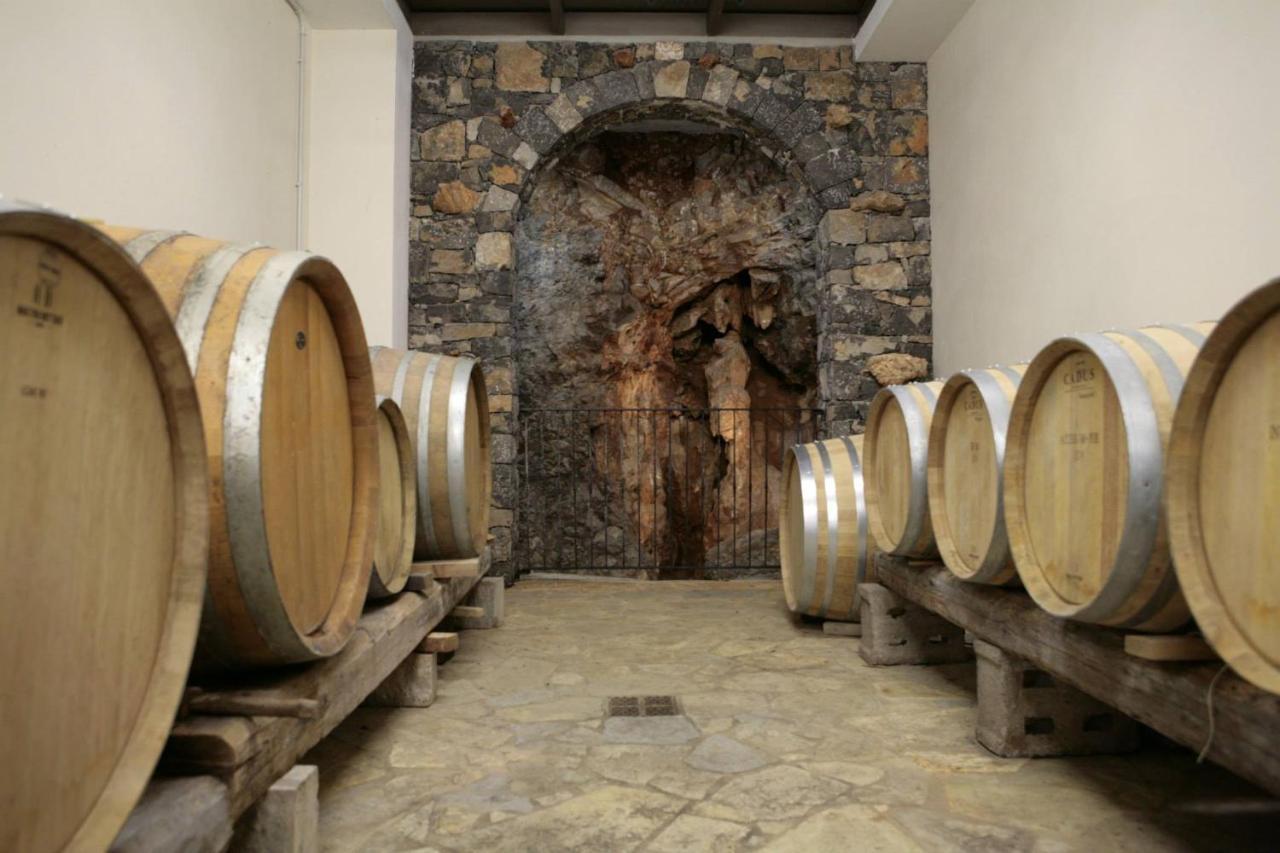 Cardo Boutique&Wine Resort Malchina Esterno foto