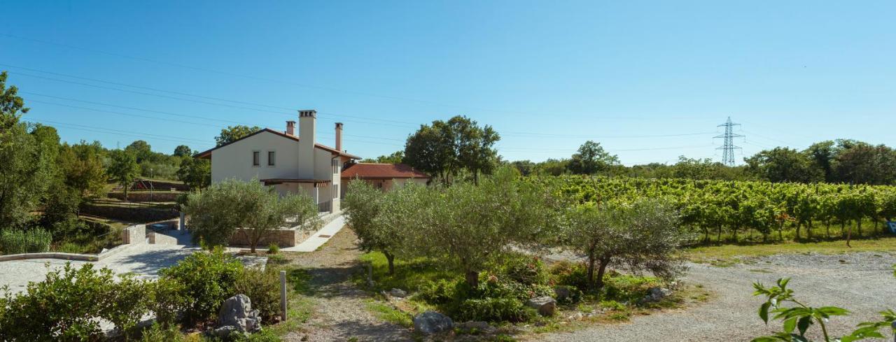 Cardo Boutique&Wine Resort Malchina Esterno foto