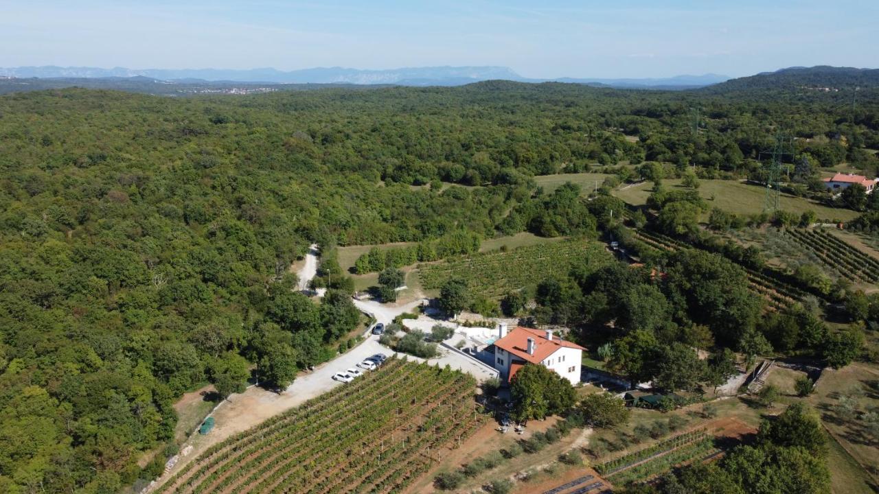 Cardo Boutique&Wine Resort Malchina Esterno foto