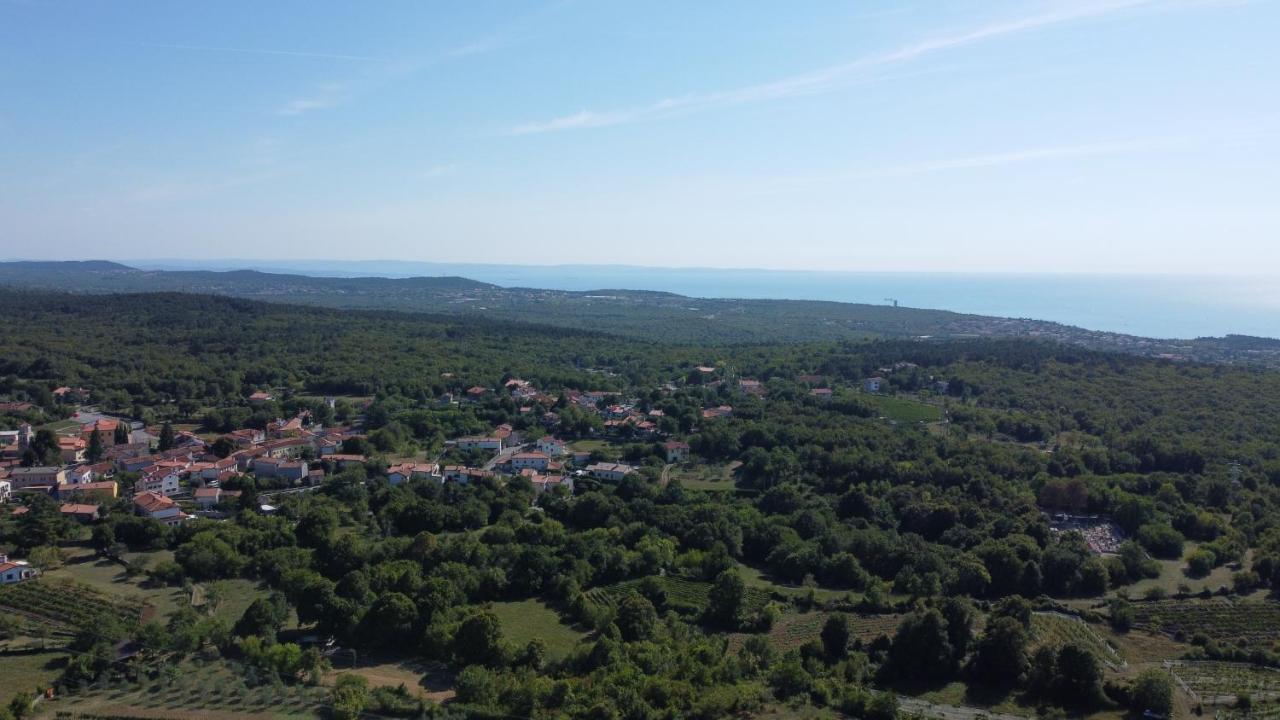 Cardo Boutique&Wine Resort Malchina Esterno foto