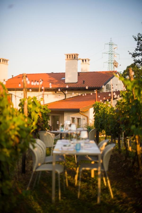 Cardo Boutique&Wine Resort Malchina Esterno foto